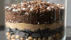 Die Zamioculcas mag nährstoffarme, leichte und lockere Erde – wir stellen sie selbst her